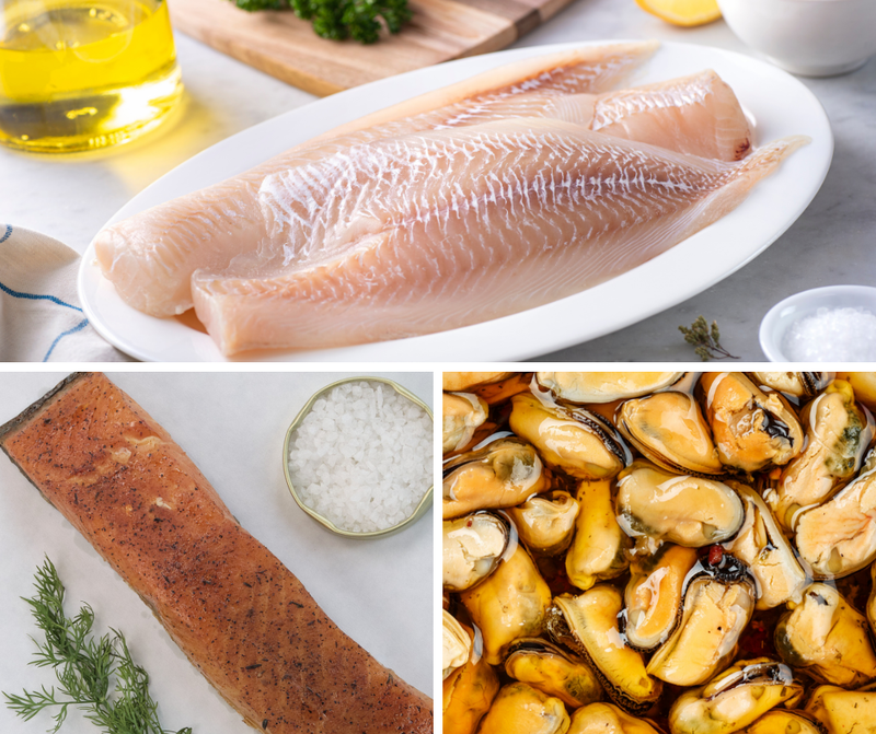 First Catch Starter Pack