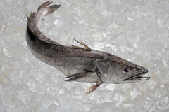 Whole Fish Share Subscription - Home Delivery
