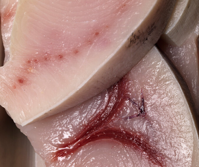 Cape Ann Fresh Catch Swordfish Steak 